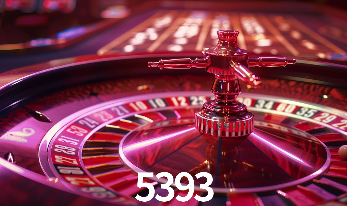 5393.com