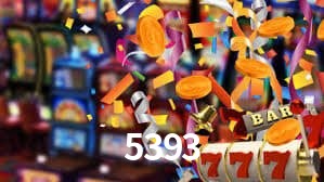 Premium Interface 5393