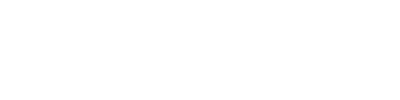 5393